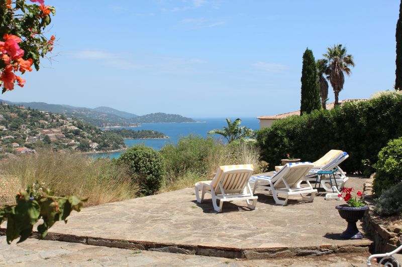 foto 0 Huurhuis van particulieren Le Lavandou villa Provence-Alpes-Cte d'Azur Var