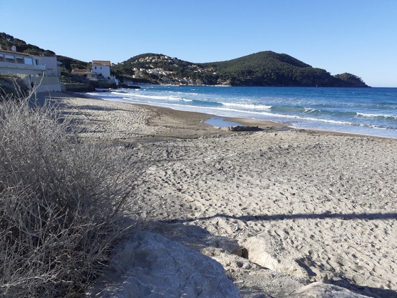 foto 0 Huurhuis van particulieren Saint Cyr sur Mer studio Provence-Alpes-Cte d'Azur Var