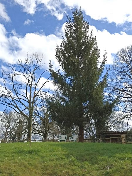 foto 17 Huurhuis van particulieren Brantme gite Aquitaine Dordogne Het aanzicht van de woning