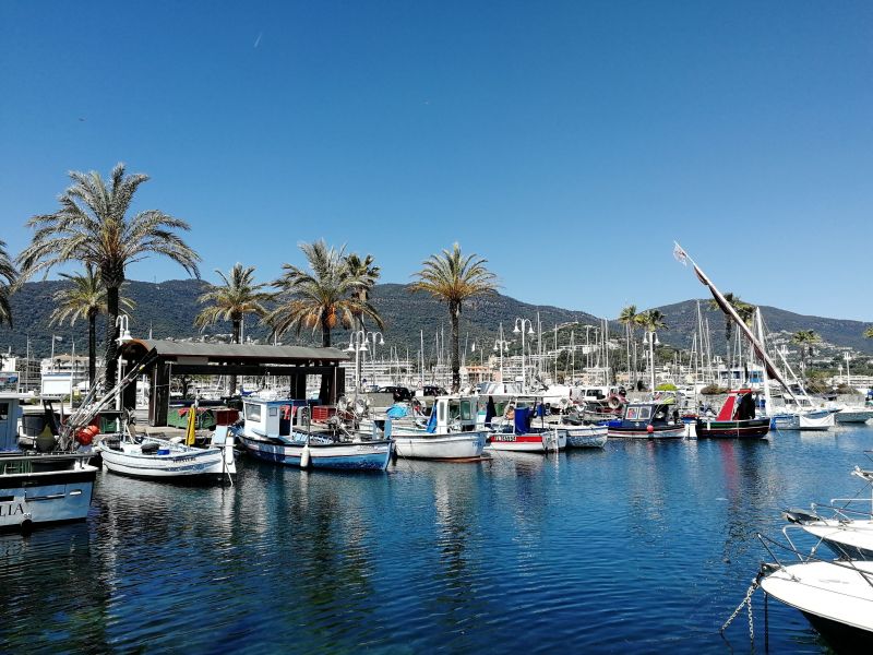 foto 0 Huurhuis van particulieren Cavalaire-sur-Mer studio Provence-Alpes-Cte d'Azur Var