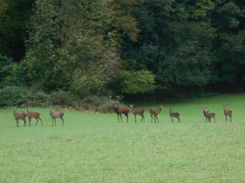 foto 21 Huurhuis van particulieren  gite Midi-Pyrnes Hautes-Pyrnes Overig uitzicht