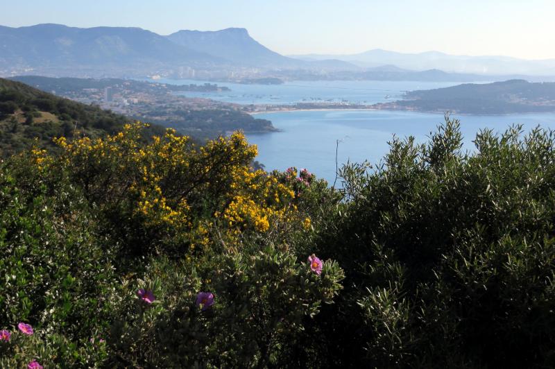 foto 21 Huurhuis van particulieren La Seyne sur Mer appartement Provence-Alpes-Cte d'Azur Var Zicht op de omgeving