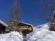 Vakantiewoningen wintersportplaats: chalet nr. 100569