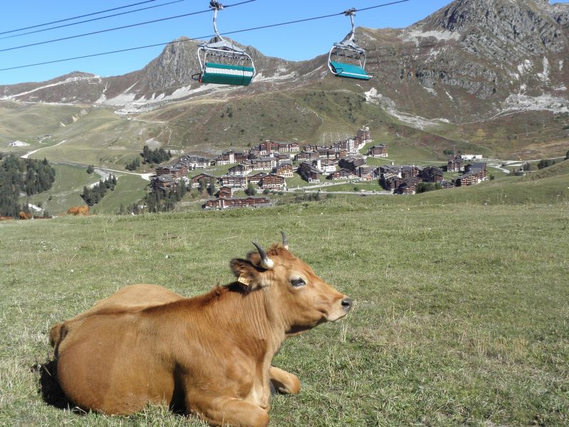 foto 29 Huurhuis van particulieren La Plagne appartement Rhne-Alpes Savoie Zicht op de omgeving