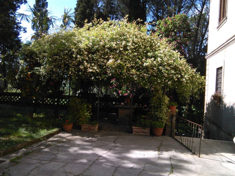 foto 25 Huurhuis van particulieren Camaiore appartement Toscane Lucca (provincie) Tuin