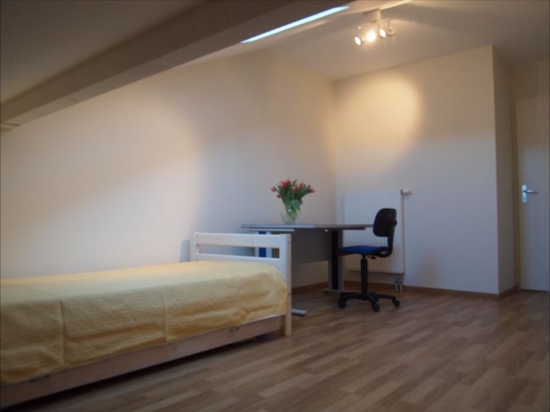 foto 8 Huurhuis van particulieren Thonon Les Bains appartement Rhne-Alpes Haute-Savoie slaapkamer 2