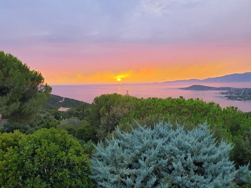 foto 1 Huurhuis van particulieren Porticcio villa Corsica Corse du Sud Terras 1