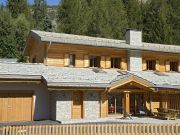 Vakantiewoningen chalets French Ski Resorts: chalet nr. 117369