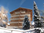 Vakantiewoningen wintersportplaats Zwitserland: appartement nr. 117455