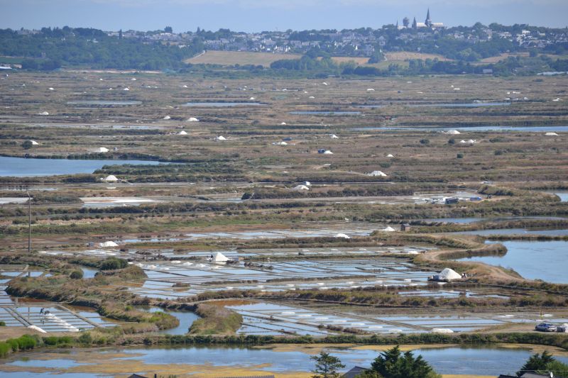 foto 14 Huurhuis van particulieren La Baule studio Pays de la Loire Loire-Atlantique Overig uitzicht