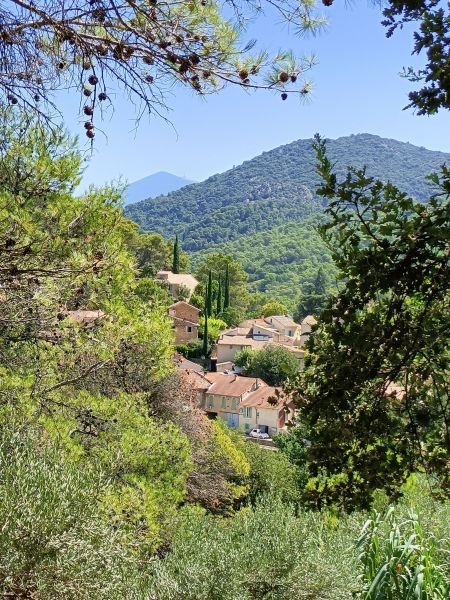 foto 23 Huurhuis van particulieren Carpentras gite Provence-Alpes-Cte d'Azur Vaucluse Overig uitzicht