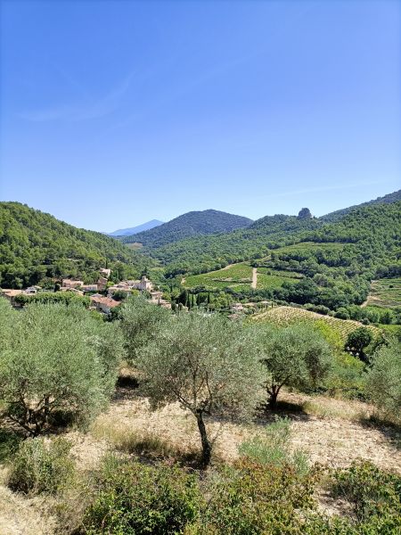 foto 28 Huurhuis van particulieren Carpentras gite Provence-Alpes-Cte d'Azur Vaucluse