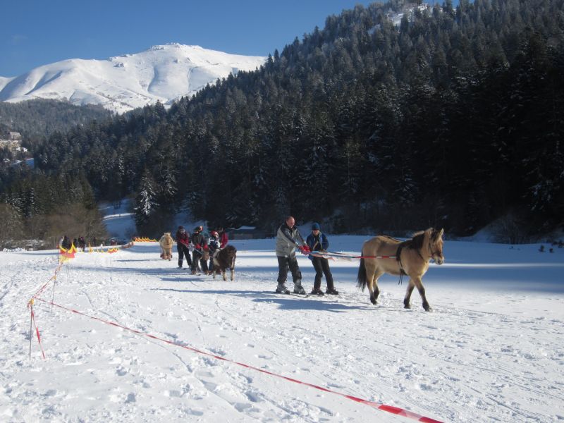 foto 13 Huurhuis van particulieren Le Lioran studio Auvergne Cantal Zicht op de omgeving