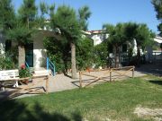 Vakantiewoningen zicht op zee Promontorio Del Gargano: appartement nr. 89546