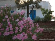 Vakantiewoningen Ostuni voor 3 personen: villa nr. 110107