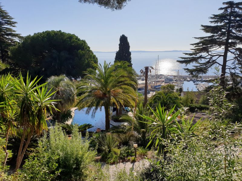 foto 5 Huurhuis van particulieren Le Lavandou villa Provence-Alpes-Cte d'Azur Var Tuin
