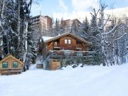 Vakantiewoningen chalets French Ski Resorts: chalet nr. 91812