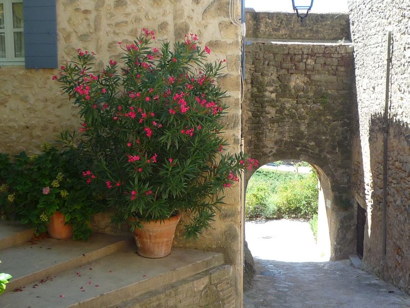 foto 12 Huurhuis van particulieren La Tour d'Aigues gite Provence-Alpes-Cte d'Azur Vaucluse