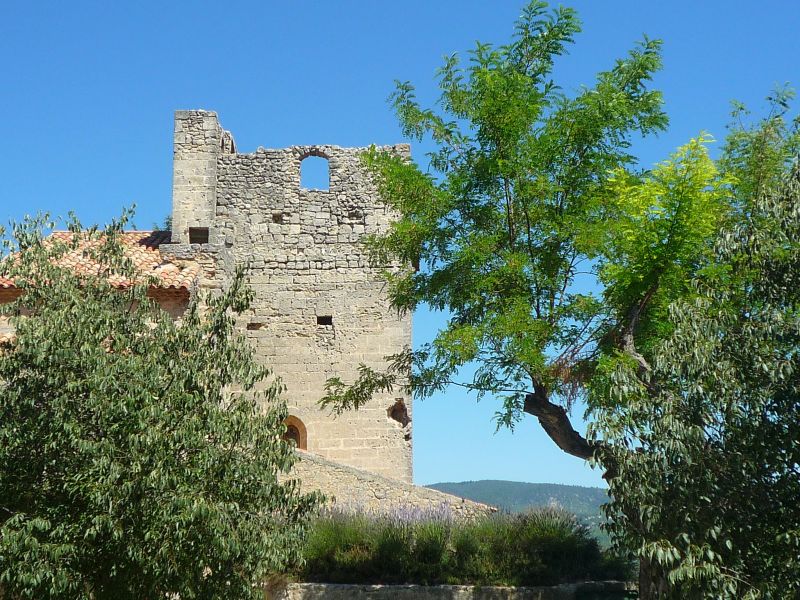 foto 17 Huurhuis van particulieren La Tour d'Aigues gite Provence-Alpes-Cte d'Azur Vaucluse