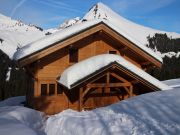 Vakantiewoningen chalets: chalet nr. 101067