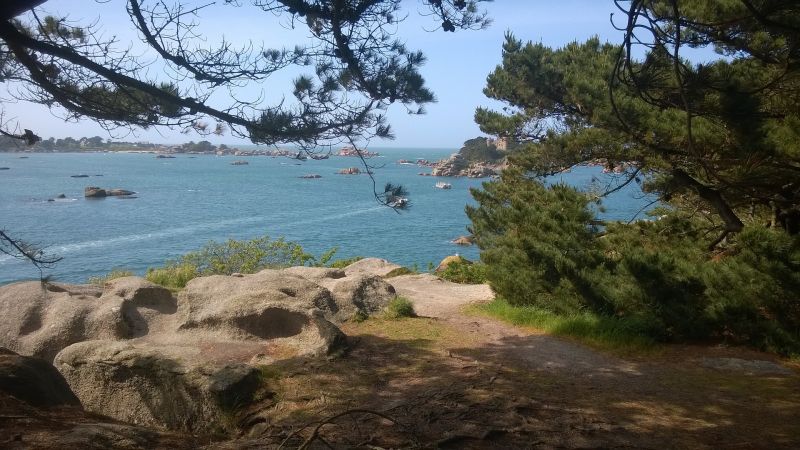 foto 12 Huurhuis van particulieren Frehel gite Bretagne Ctes d'Armor Strand