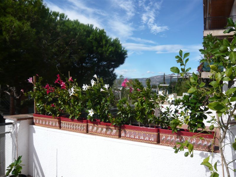 foto 5 Huurhuis van particulieren Rosas appartement Cataloni Girona (provincia de) Uitzicht vanaf het terras