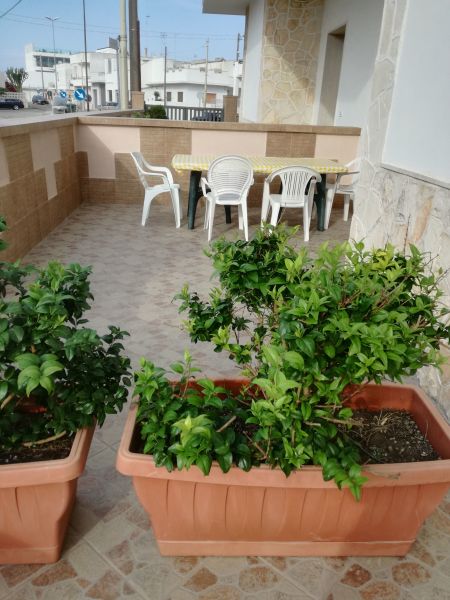 foto 4 Huurhuis van particulieren San Foca appartement Pouilles Lecce (provincie) Tuin
