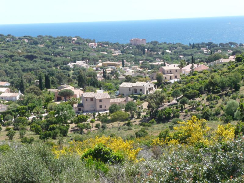 foto 14 Huurhuis van particulieren Sainte Maxime villa Provence-Alpes-Cte d'Azur Var Het aanzicht van de woning