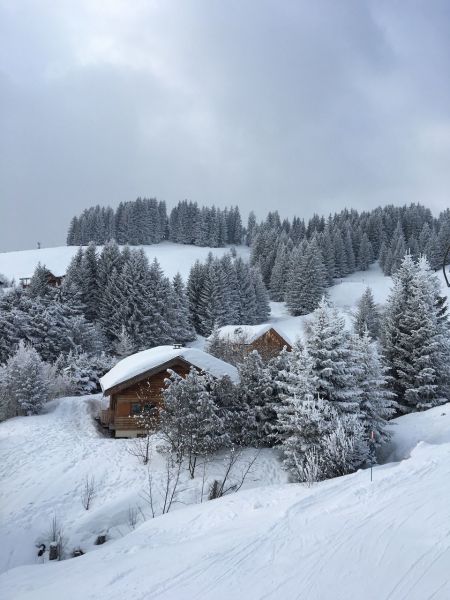 foto 24 Huurhuis van particulieren Manigod-Croix Fry/L'tale-Merdassier appartement Rhne-Alpes Haute-Savoie Zicht op de omgeving
