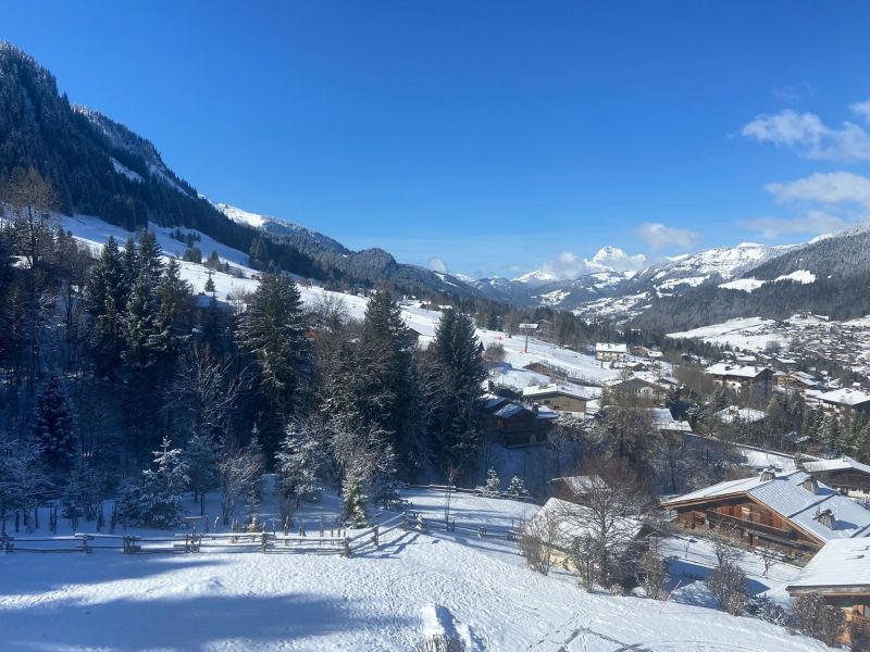 foto 1 Huurhuis van particulieren Megve appartement Rhne-Alpes Haute-Savoie Uitzicht vanaf het terras