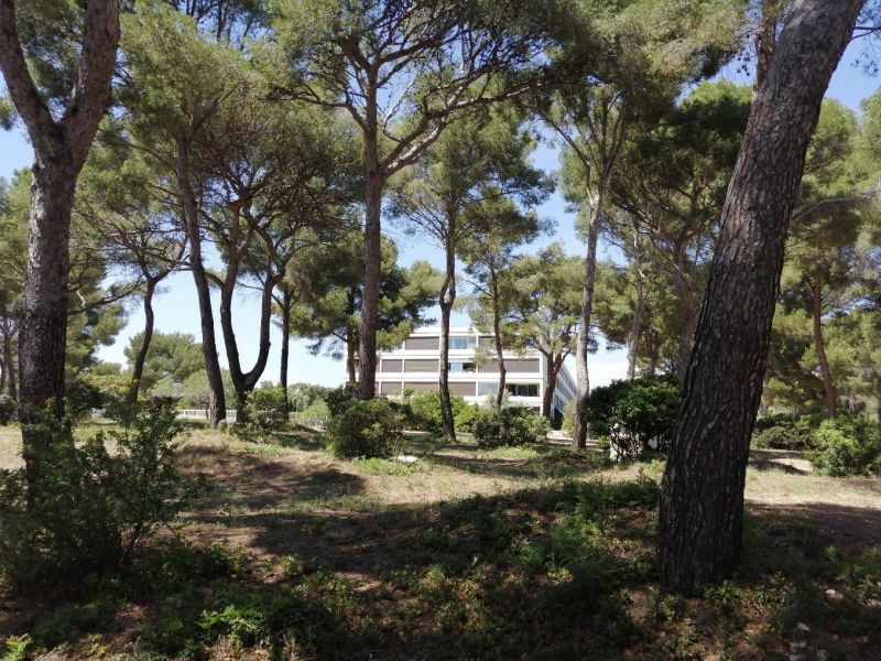 foto 4 Huurhuis van particulieren Bandol appartement Provence-Alpes-Cte d'Azur Var Het aanzicht van de woning
