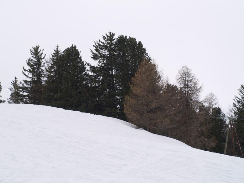 foto 8 Huurhuis van particulieren La Plagne studio Rhne-Alpes Savoie Uitzicht vanaf het terras