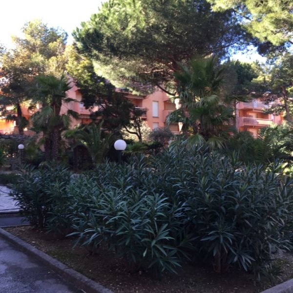 foto 15 Huurhuis van particulieren Bormes Les Mimosas appartement Provence-Alpes-Cte d'Azur Var Tuin