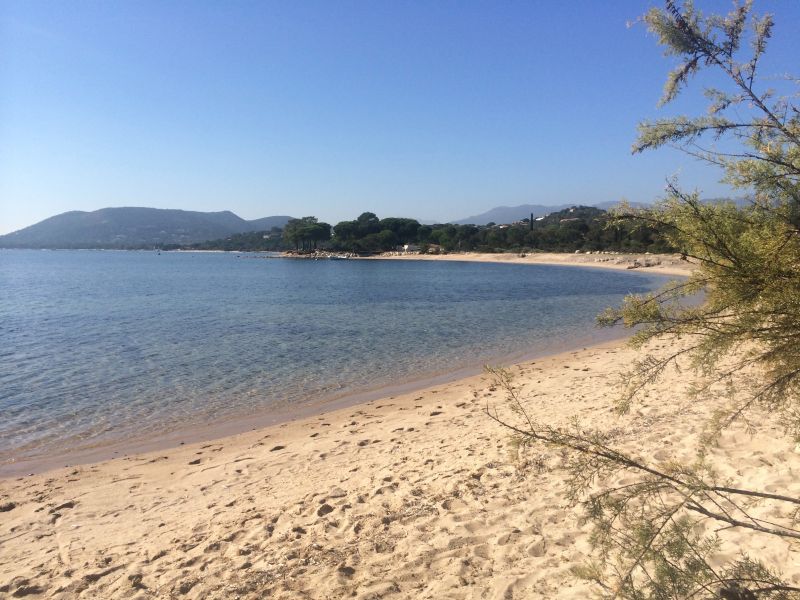 foto 25 Huurhuis van particulieren Ste Lucie de Porto Vecchio villa Corsica Corse du Sud Strand