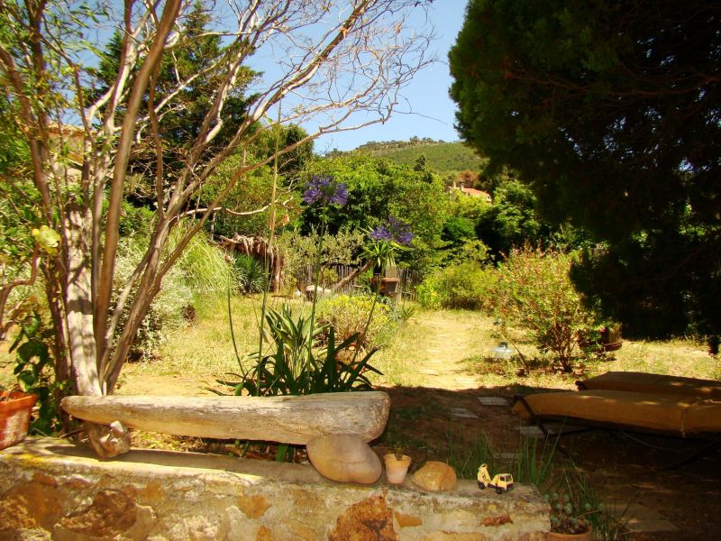 foto 12 Huurhuis van particulieren Hyres gite Provence-Alpes-Cte d'Azur Var Tuin