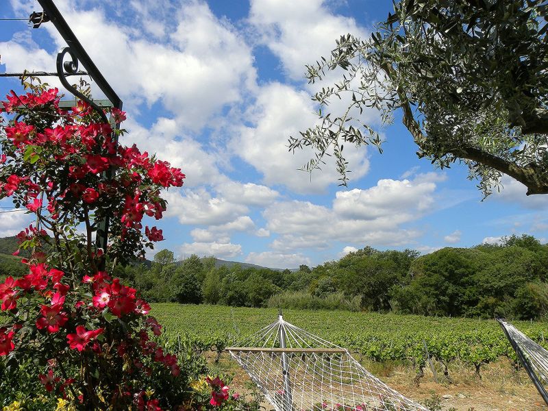 foto 13 Huurhuis van particulieren Grimaud gite Provence-Alpes-Cte d'Azur Var Terras