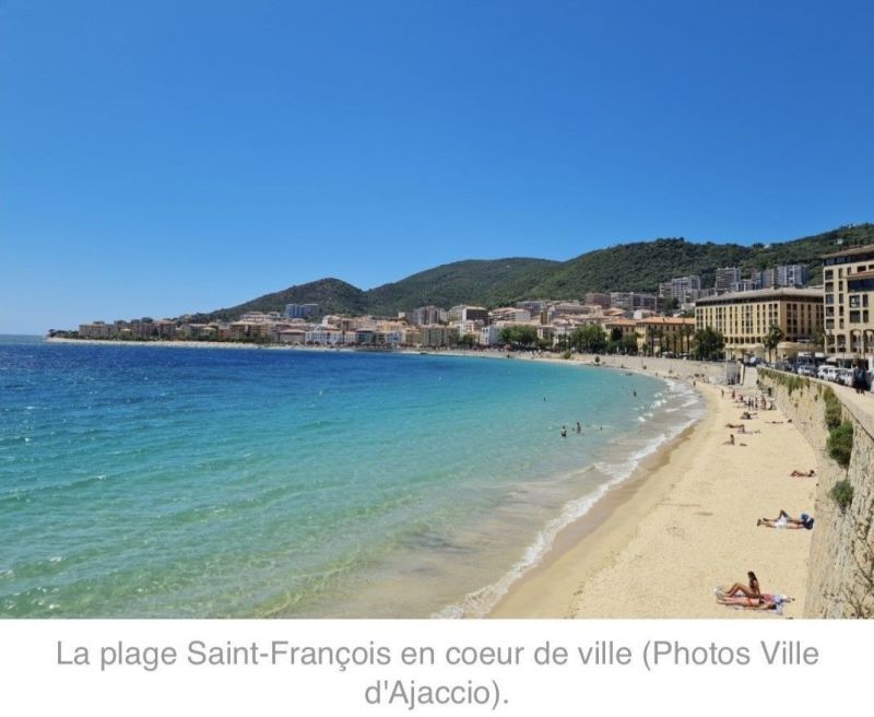 foto 10 Huurhuis van particulieren Ajaccio appartement Corsica Corse du Sud Strand