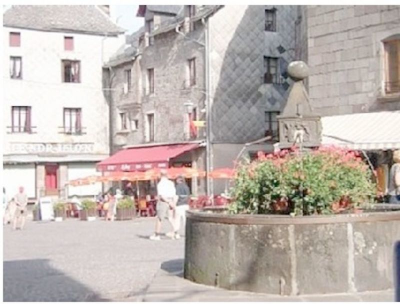 foto 10 Huurhuis van particulieren Besse et Saint Anastaise gite Auvergne Puy-de-Dme Overig uitzicht
