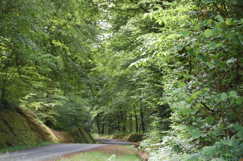 foto 18 Huurhuis van particulieren Vire gite Basse-Normandie Calvados Zicht op de omgeving