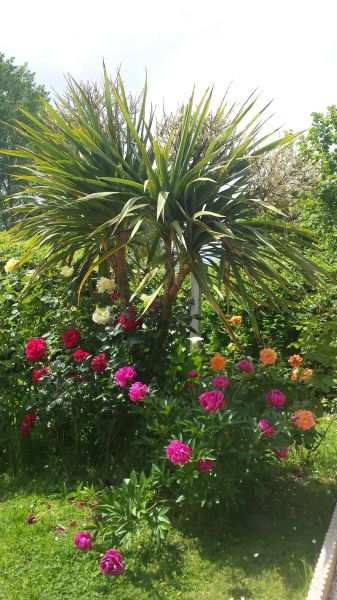 foto 6 Huurhuis van particulieren Mont Saint Michel gite Basse-Normandie Manche Tuin