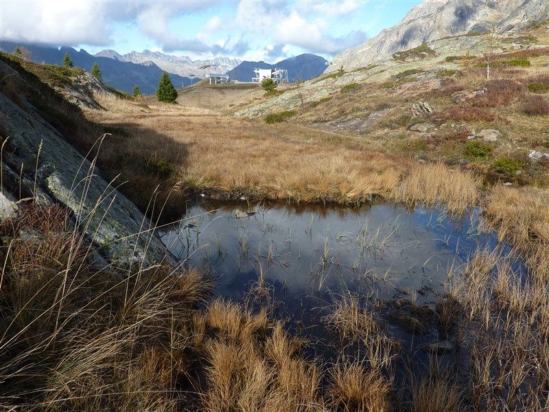 foto 4 Huurhuis van particulieren Alpe d'Huez appartement Rhne-Alpes Isre Het aanzicht van de woning