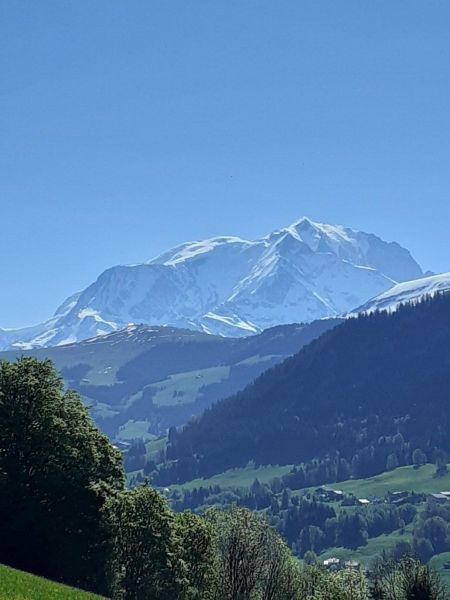 foto 27 Huurhuis van particulieren Praz sur Arly studio Rhne-Alpes Haute-Savoie Zicht op de omgeving