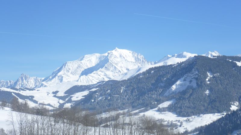 foto 19 Huurhuis van particulieren Praz sur Arly studio Rhne-Alpes Haute-Savoie Zicht op de omgeving