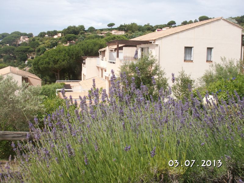 foto 15 Huurhuis van particulieren Sainte Maxime appartement Provence-Alpes-Cte d'Azur Var Het aanzicht van de woning