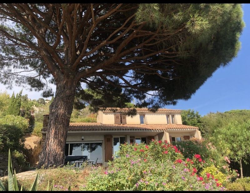 foto 7 Huurhuis van particulieren Le Lavandou villa   Terras