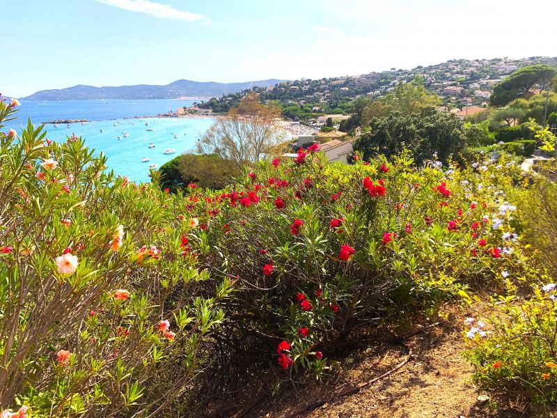 foto 4 Huurhuis van particulieren Le Lavandou villa   Uitzicht vanaf het terras