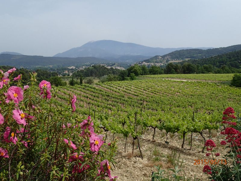 foto 16 Huurhuis van particulieren Vaison la Romaine gite Provence-Alpes-Cte d'Azur Vaucluse Uitzicht vanaf de woning