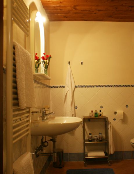 foto 9 Huurhuis van particulieren Siena gite Toscane Siena (provincie) badkamer