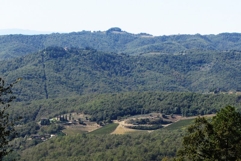 foto 13 Huurhuis van particulieren Siena gite Toscane Siena (provincie) Uitzicht vanaf het terras