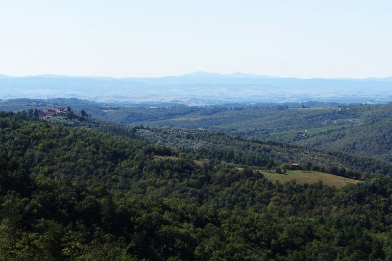 foto 14 Huurhuis van particulieren Siena gite Toscane Siena (provincie) Uitzicht vanaf het terras